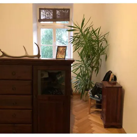 Apartament In The Heart On - But Calm *